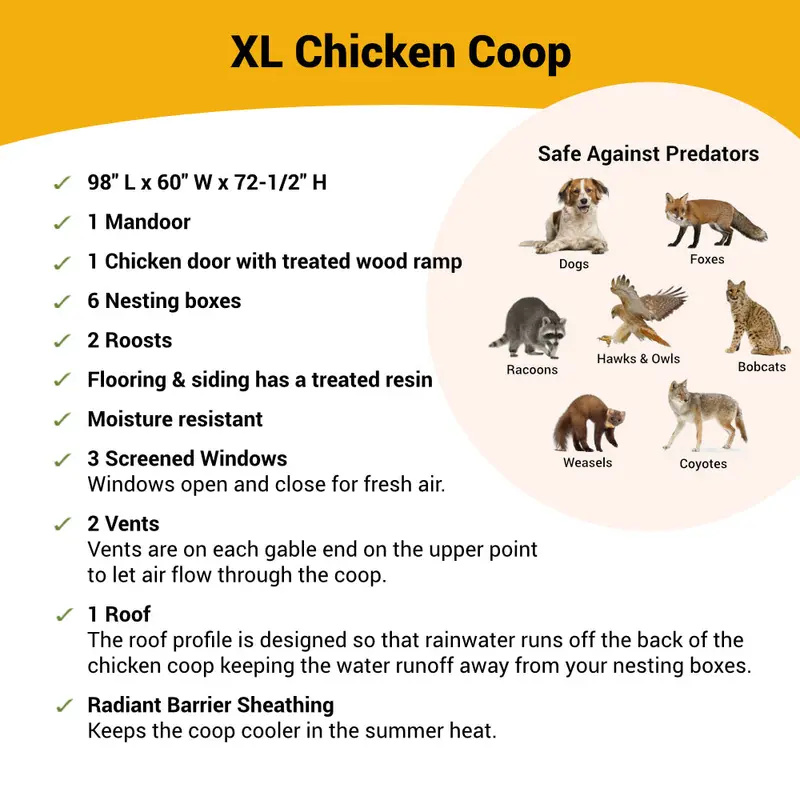 OverEZ XL Chicken Coop – Ventilated, Spacious Housing for Up to 20 Chickens